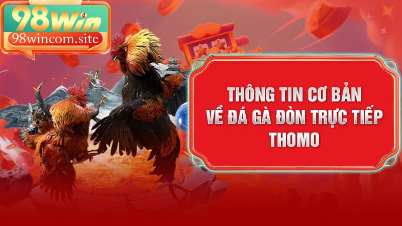 Những điều giúp bạn làm quen với Đá Gà Đòn Trực Tiếp Thomo