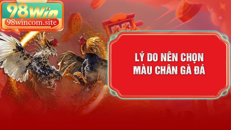 Lý do nên chọn màu chân gà đá