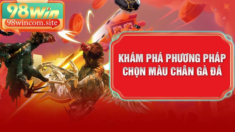 Khám phá phương pháp chọn màu chân gà đá