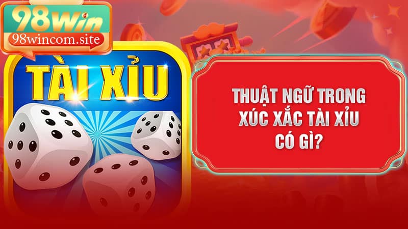 Thuật Ngữ Trong Xúc Xắc Tài Xỉu Có Gì?