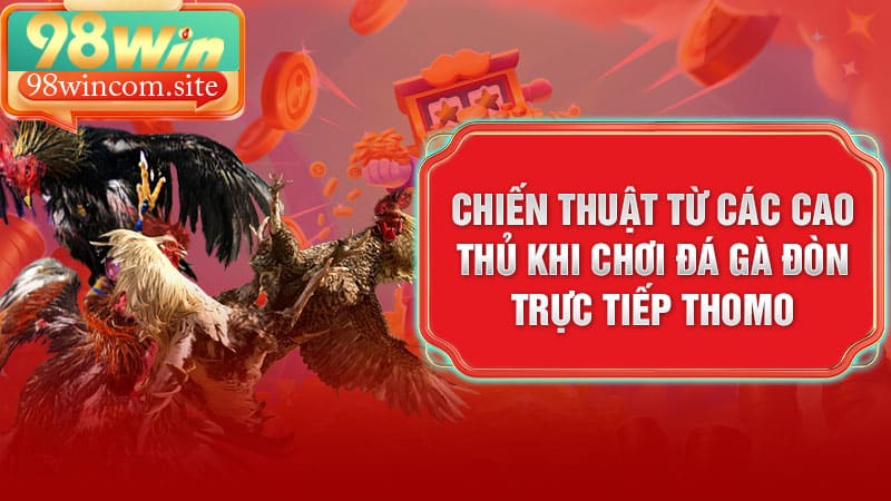 Chiến thuật của cao thủ khi cược Đá Gà Đòn Trực Tiếp Thomo