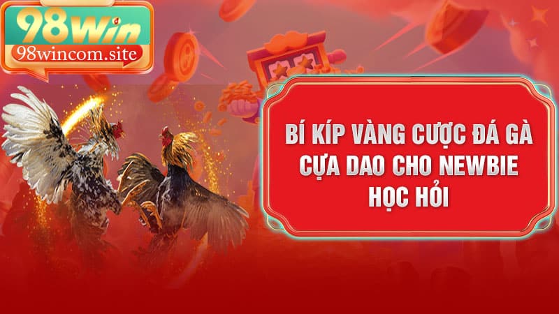 Bí kíp vàng cược Đá Gà Cựa Dao cho newbie học hỏi