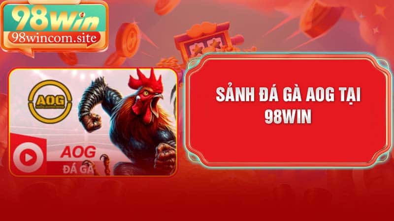 Sảnh đá gà AOG tại 98Win